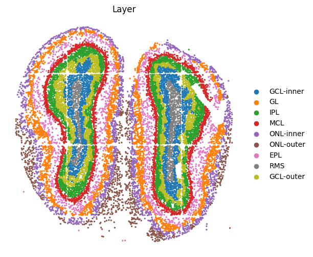 _images/1._Stereo-seq_Olfactory_bulb_27_0.png