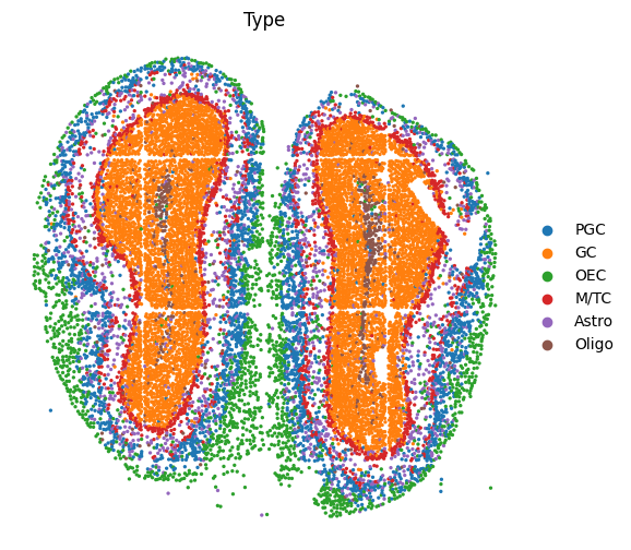 _images/1._Stereo-seq_Olfactory_bulb_31_0.png
