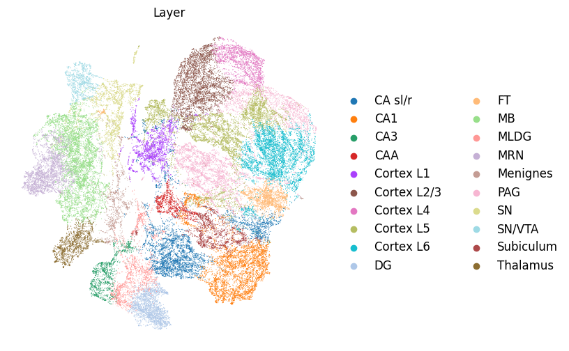 _images/2._Stereo-seq_Hemibrian_21_0.png